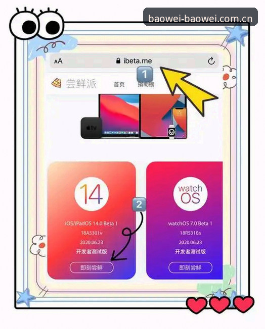 资深用户分享宝威苹果版下载使用指南：从安装到实战的完整心得